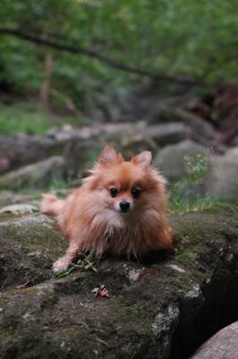 Sept25e_04_144.JPG