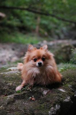Sept25e_04_149.JPG