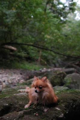 Sept25e_04_153.JPG