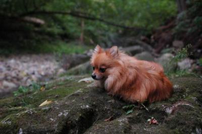 Sept25e_04_157.JPG