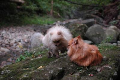 Sept25e_04_159.JPG