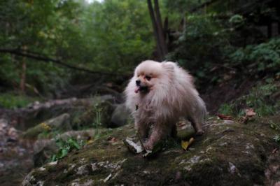 Sept25e_04_171.JPG