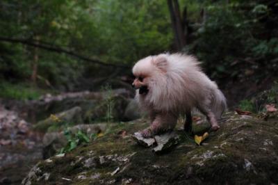 Sept25e_04_174.JPG