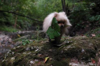 Sept25e_04_217.JPG