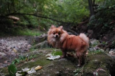 Sept25e_04_244.JPG
