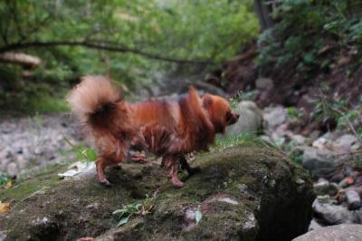 Sept25e_04_246.JPG
