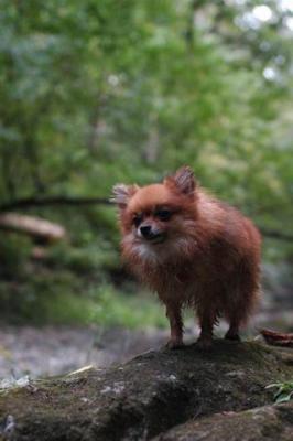 Sept25e_04_251.JPG