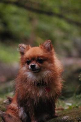 Sept25e_04_264.JPG