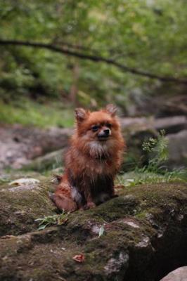 Sept25e_04_266.JPG