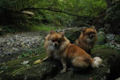 Sept25e_04_274.JPG