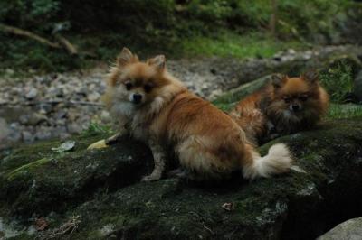 Sept25e_04_321.JPG