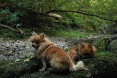 Sept25e_04_327.JPG