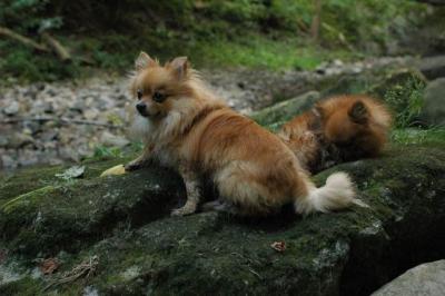Sept25e_04_330.JPG