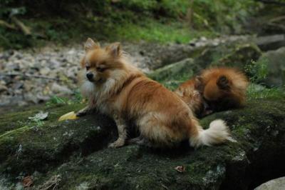 Sept25e_04_331.JPG