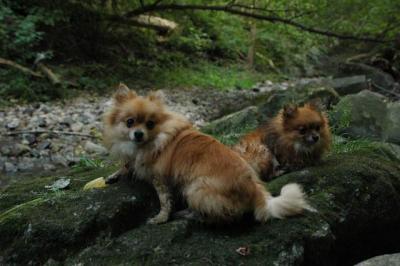 Sept25e_04_332.JPG