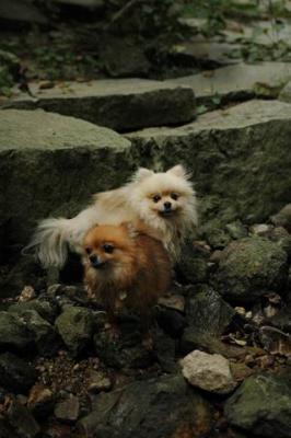 Sept25_04_510.JPG
