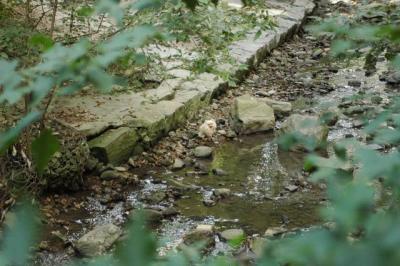 Sept25_04_654.JPG