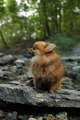 Sept25a_04_042.JPG