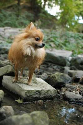 Sept25a_04_058.JPG