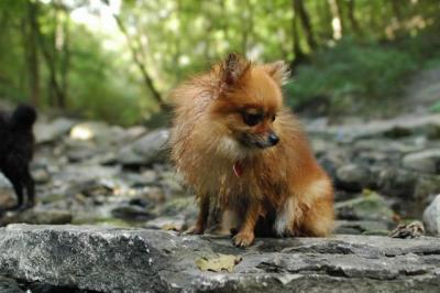 Sept25a_04_066.JPG