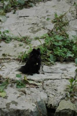 Sept25a_04_093.JPG