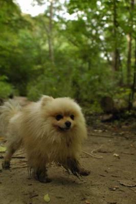 Sept25a_04_218.JPG