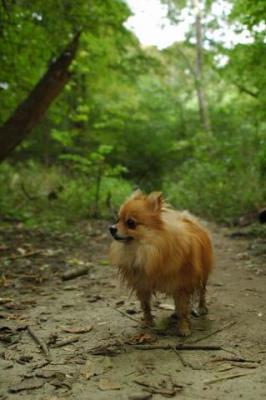 Sept25a_04_222.JPG