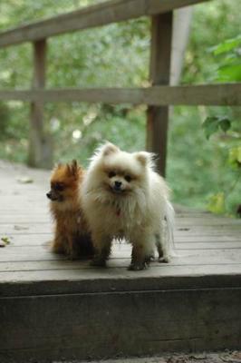 Sept25a_04_349.JPG