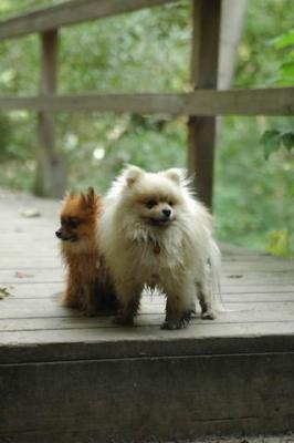 Sept25a_04_350.JPG
