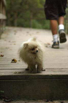 Sept25a_04_392.JPG