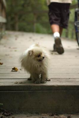 Sept25a_04_393.JPG