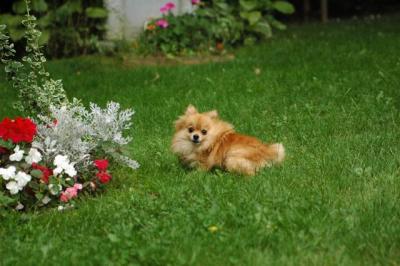 Sept25a_04_589.JPG