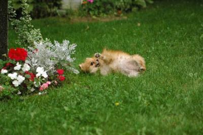 Sept25a_04_593.JPG