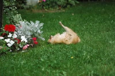 Sept25a_04_609.JPG