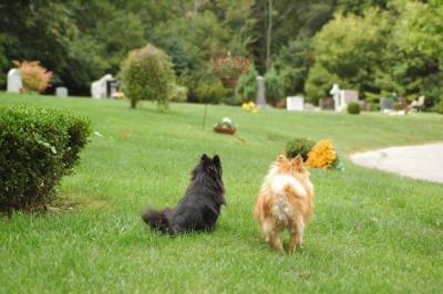 Sept25a_04_630.JPG