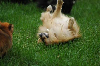 Sept25a_04_635.JPG