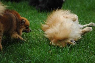 Sept25a_04_637.JPG
