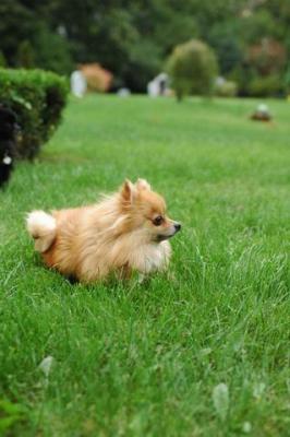 Sept25a_04_642.JPG