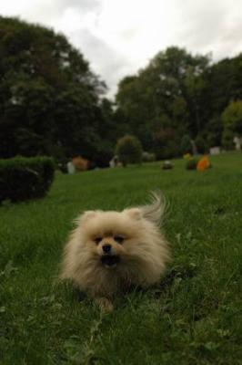 Sept25a_04_658.JPG