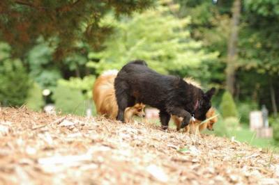 Sept25a_04_664.JPG