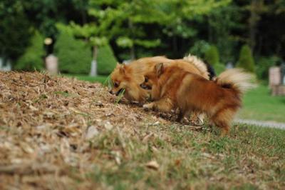 Sept25a_04_678.JPG