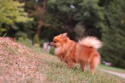 Sept25b_04_006.JPG