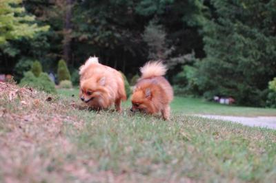 Sept25b_04_037.JPG