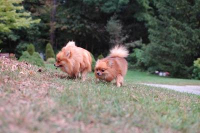 Sept25b_04_038.JPG