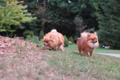 Sept25b_04_041.JPG