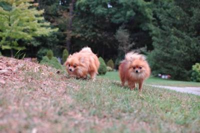 Sept25b_04_043.JPG