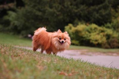 Sept25b_04_059.JPG