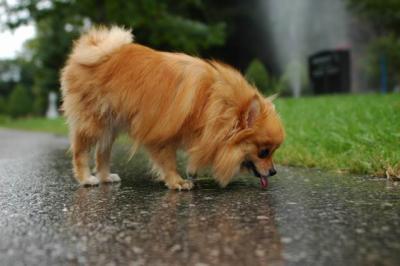 Sept25b_04_066.JPG