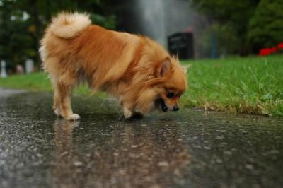 Sept25b_04_069.JPG