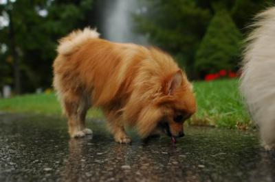 Sept25b_04_073.JPG